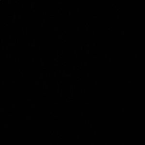 Meet your Posher, Anil